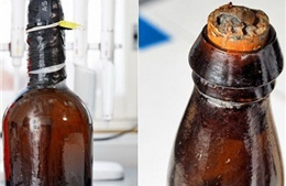 Bỉ tái tạo loại bia 170 năm tuổi 
